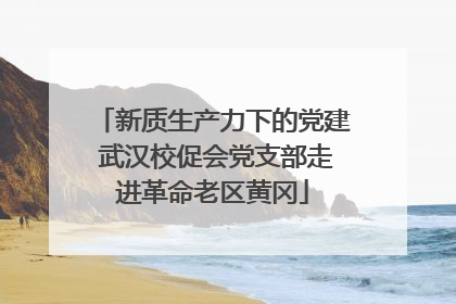 新质生产力下的党建 武汉校促会党支部走进革命老区黄冈