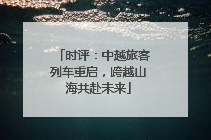 时评：中越旅客列车重启，跨越山海共赴未来