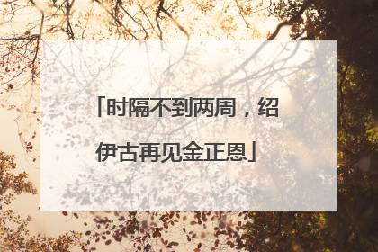 时隔不到两周，绍伊古再见金正恩