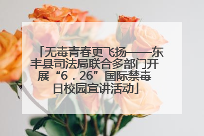 无毒青春更飞扬——东丰县司法局联合多部门开展“6．26”国际禁毒日校园宣讲活动