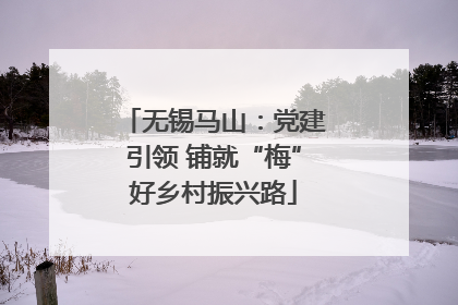 无锡马山：党建引领 铺就“梅”好乡村振兴路