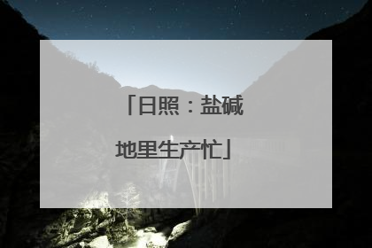 日照：盐碱地里生产忙