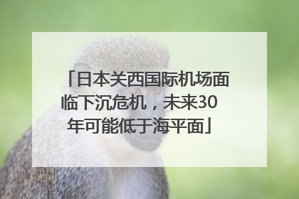 日本关西国际机场面临下沉危机，未来30年可能低于海平面
