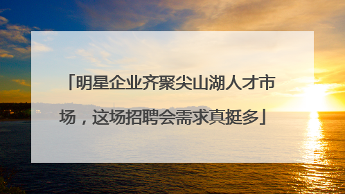 明星企业齐聚尖山湖人才市场，这场招聘会需求真挺多