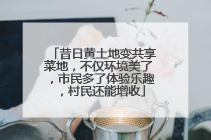 昔日黄土地变共享菜地，不仅环境美了，市民多了体验乐趣，村民还能增收
