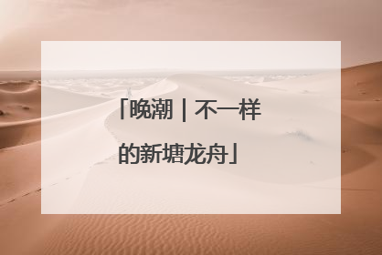 晚潮｜不一样的新塘龙舟
