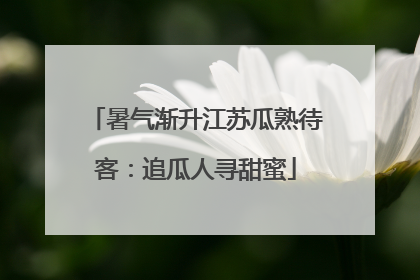 暑气渐升江苏瓜熟待客：追瓜人寻甜蜜