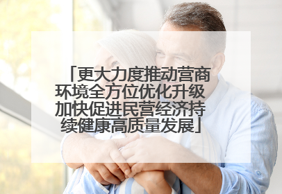 更大力度推动营商环境全方位优化升级加快促进民营经济持续健康高质量发展