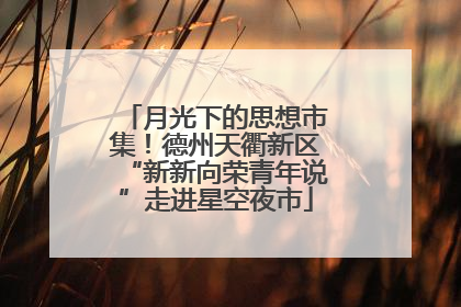 月光下的思想市集！德州天衢新区“新新向荣青年说”走进星空夜市