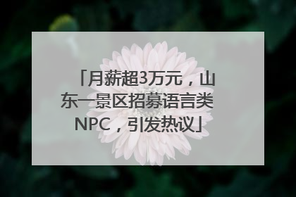 月薪超3万元，山东一景区招募语言类NPC，引发热议