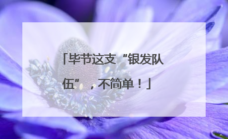 毕节这支“银发队伍”，不简单！
