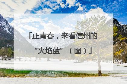 正青春，来看信州的“火焰蓝”（图）