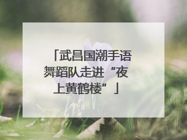 武昌国潮手语舞蹈队走进“夜上黄鹤楼”