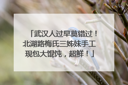 武汉人过早莫错过！北湖路梅氏三姊妹手工现包大馄饨，超鲜！