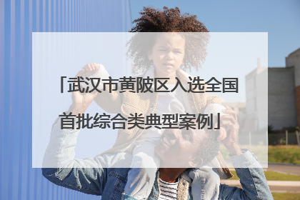 武汉市黄陂区入选全国首批综合类典型案例