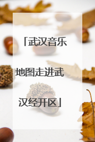 武汉音乐地图走进武汉经开区