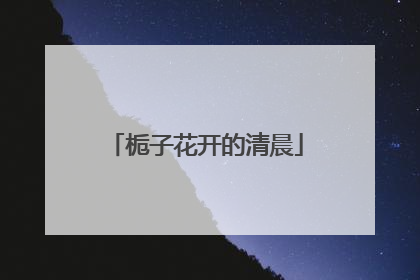 栀子花开的清晨