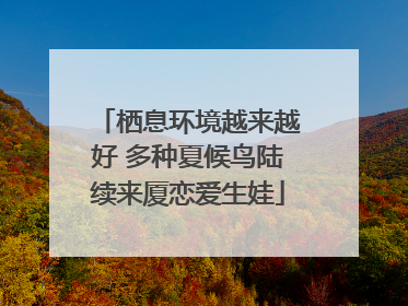 栖息环境越来越好 多种夏候鸟陆续来厦恋爱生娃
