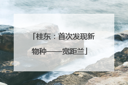 桂东：首次发现新物种——宽距兰
