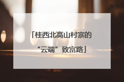 桂西北高山村寨的“云端”致富路