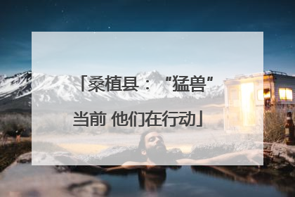 桑植县：“猛兽”当前 他们在行动