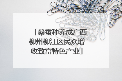 桑蚕种养成广西柳州柳江区民众增收致富特色产业