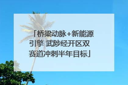 桥梁动脉+新能源引擎 武陟经开区双赛道冲刺半年目标