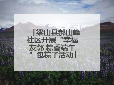 梁山县郝山峰社区开展“幸福友邻 粽香端午”包粽子活动