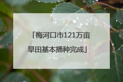 梅河口市121万亩旱田基本播种完成