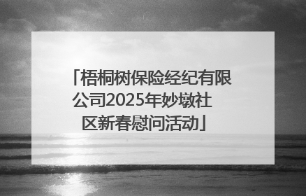 梧桐树保险经纪有限公司2025年妙墩社区新春慰问活动
