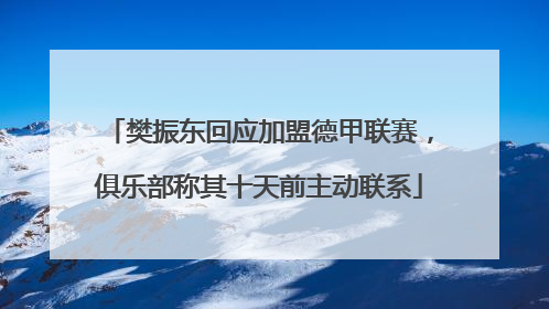 樊振东回应加盟德甲联赛，俱乐部称其十天前主动联系