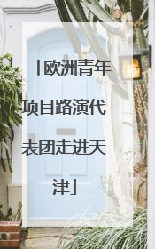 欧洲青年项目路演代表团走进天津