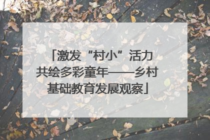 激发“村小”活力 共绘多彩童年——乡村基础教育发展观察