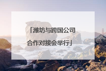 潍坊与跨国公司合作对接会举行