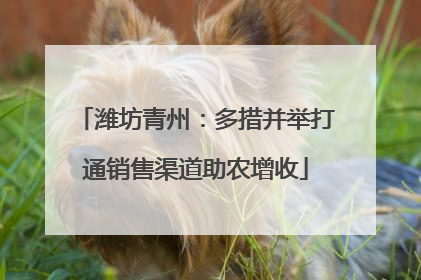 潍坊青州：多措并举打通销售渠道助农增收
