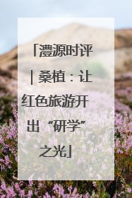 澧源时评｜桑植：让红色旅游开出“研学”之光