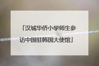 汉城华侨小学师生参访中国驻韩国大使馆