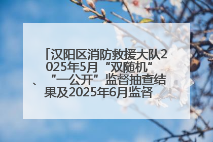汉阳区消防救援大队2025年5月“双随机”、“一公开”监督抽查结果及2025年6月监督抽查任务公示