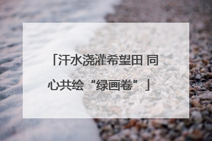 汗水浇灌希望田 同心共绘“绿画卷”