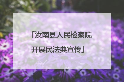 汝南县人民检察院开展民法典宣传