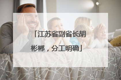 江苏省副省长胡彬郴，分工明确