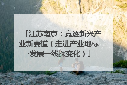 江苏南京：竞逐新兴产业新赛道（走进产业地标·发展一线探变化）