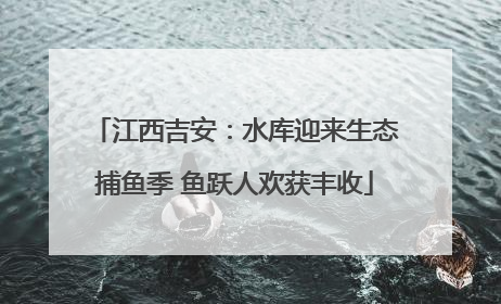 江西吉安：水库迎来生态捕鱼季 鱼跃人欢获丰收
