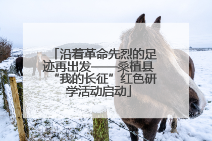 沿着革命先烈的足迹再出发——桑植县“我的长征”红色研学活动启动