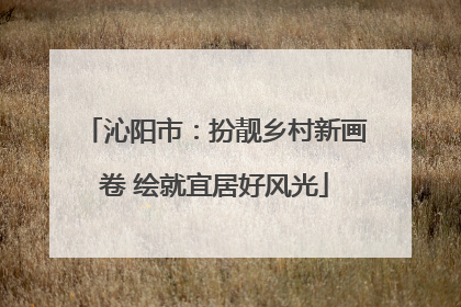 沁阳市：扮靓乡村新画卷 绘就宜居好风光