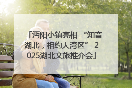 沔阳小镇亮相 “知音湖北，相约大湾区” 2025湖北文旅推介会