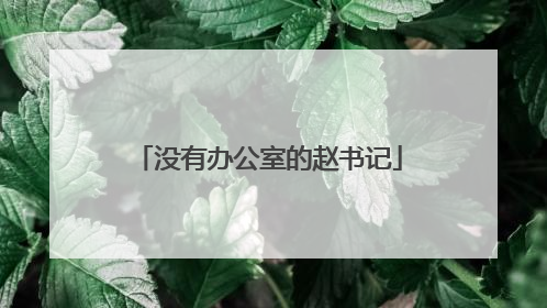 没有办公室的赵书记