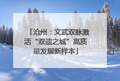 沧州：文武双脉激活“双遗之城”高质量发展新样本