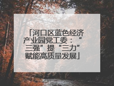河口区蓝色经济产业园党工委：“三强”提“三力”赋能高质量发展