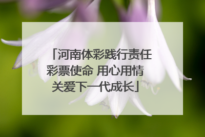 河南体彩践行责任彩票使命 用心用情关爱下一代成长